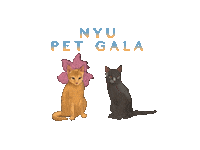 Cats Kittens Sticker by NYU Faculty Housing