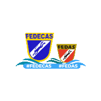 Buceo Sticker by FEDAS