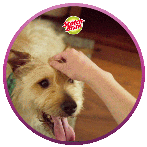 Scotchbrite Sticker by 3M