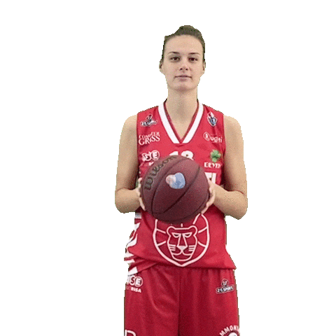 Basketball Sticker by Use Basket