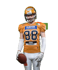 Football Sport Sticker by Dresden Monarchs