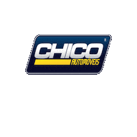 Chicoautomoveisitapiranga chicoautomóveis chicocarros chicofw chicoveiculos Sticker