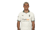 Borussia Monchengladbach Hand Sticker by Bundesliga