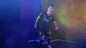 Meow Wolf Home Kit GIF by New Mexico United