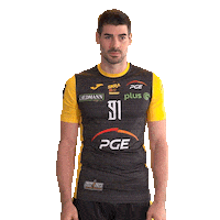 Belchatow Sticker by PGE Skra Bełchatów