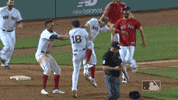 mob walkoff GIF by MLB