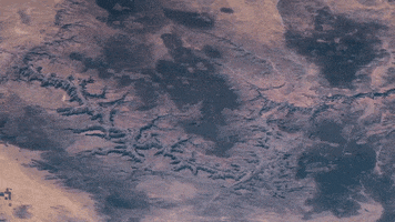 grand canyon park GIF by NASA