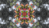 Art Love GIF by jorgemariozuleta