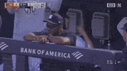 Celebrate New York Yankees GIF by MLB