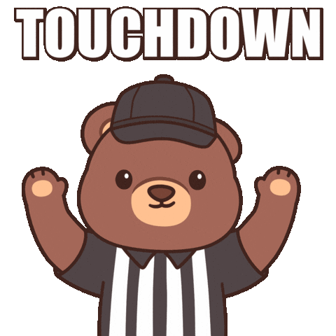 Super Bowl Win Sticker by BEARISH