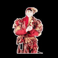 Bravo Medioevo GIF by Nespolo Giullare