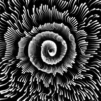 Mesmerizing Black And White GIF by xponentialdesign