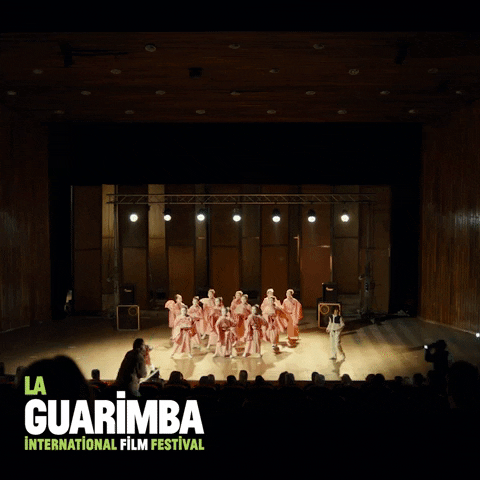 Catch Me If You Can Dancing GIF by La Guarimba Film Festival
