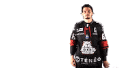Proud Ice Hockey Sticker by Boxers de Bordeaux
