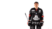 Ice Hockey Goal Sticker by Boxers de Bordeaux