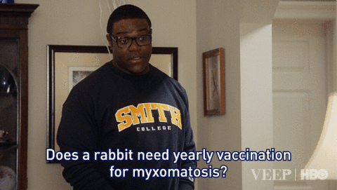 veep season 6 GIF by Veep HBO