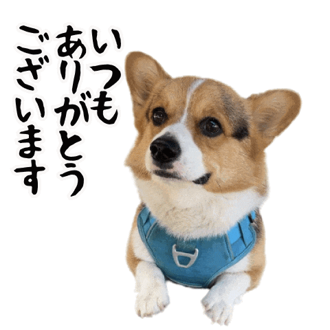 Corgi Milo Sticker