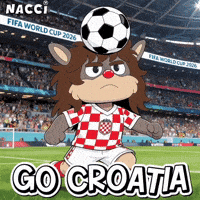 World Cup Football GIF