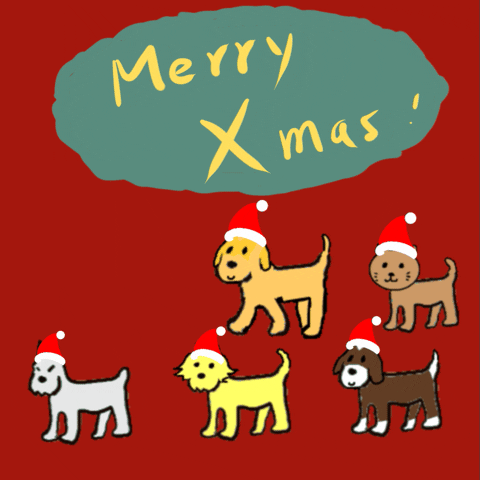 Merry Christmas Cat GIF by doghero