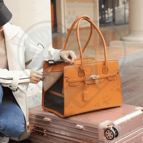 GIF Sac ChicPaws
