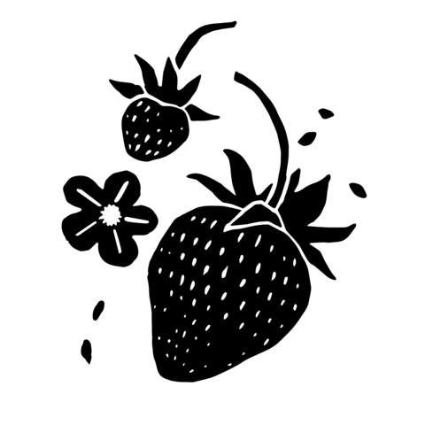 Summer Flower Sticker