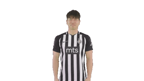 Partizan Sticker by sportmts