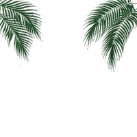 PostoNoveStudioLB pilates lebanon beirut palmtree Sticker