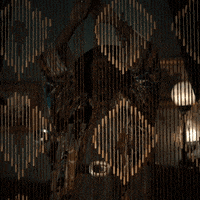 Looking Good Season 2 GIF by Paramount+