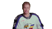 Sticker by Colorado Eagles