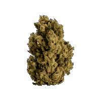 Peace Weed Sticker by Kushy Dreams