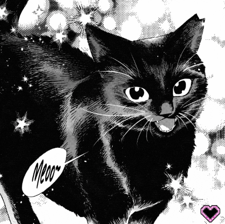 Black Cat GIF