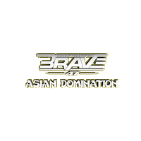 Mixed Martial Arts Mma Sticker by BRAVE Combat Federation
