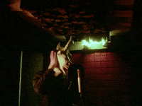 SofiaInternationalFilmFestival love movie rap cinema GIF