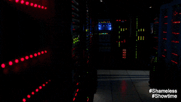 jeremy allen white GIF by Showtime