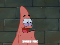 season 4 GIF by SpongeBob SquarePants