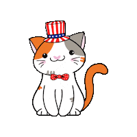 4Th Of July Cute Cat Sticker by Petique, Inc.