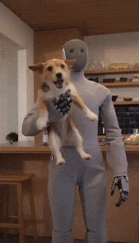 Trending Vibe GIF by Darwin