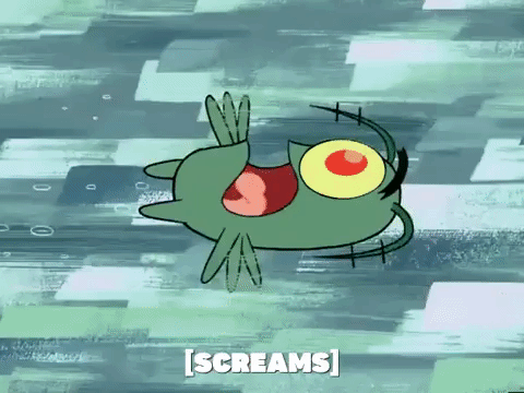 season 5 GIF by SpongeBob SquarePants