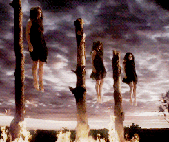 american horror story ahs coven GIF