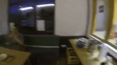 topshelf records prawn GIF