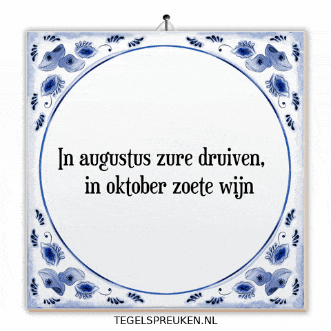 Nl Reflectie GIF by Tegelspreuken.nl