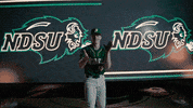 GIF by NDSU Athletics
