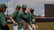 Baseball Johnson GIF by NDSU Athletics