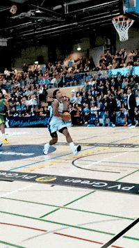 March Madness Basketball GIF by TSV temps Shooters