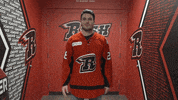 Lets Go Hockey GIF by Rapid City Rush