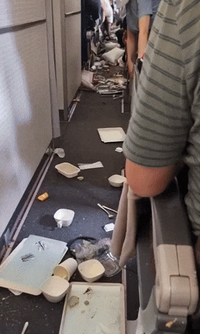 yj_jane giphyupload GIF