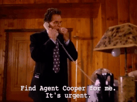 season 2 GIF by Twin Peaks on Showtime