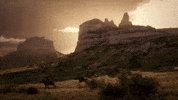 Red Dead Redemption Rdr2 GIF by Rockstar Games
