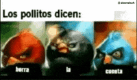 Delete Your Account Los Pollitos Dicen GIF