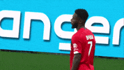 GIF by Ligue 1